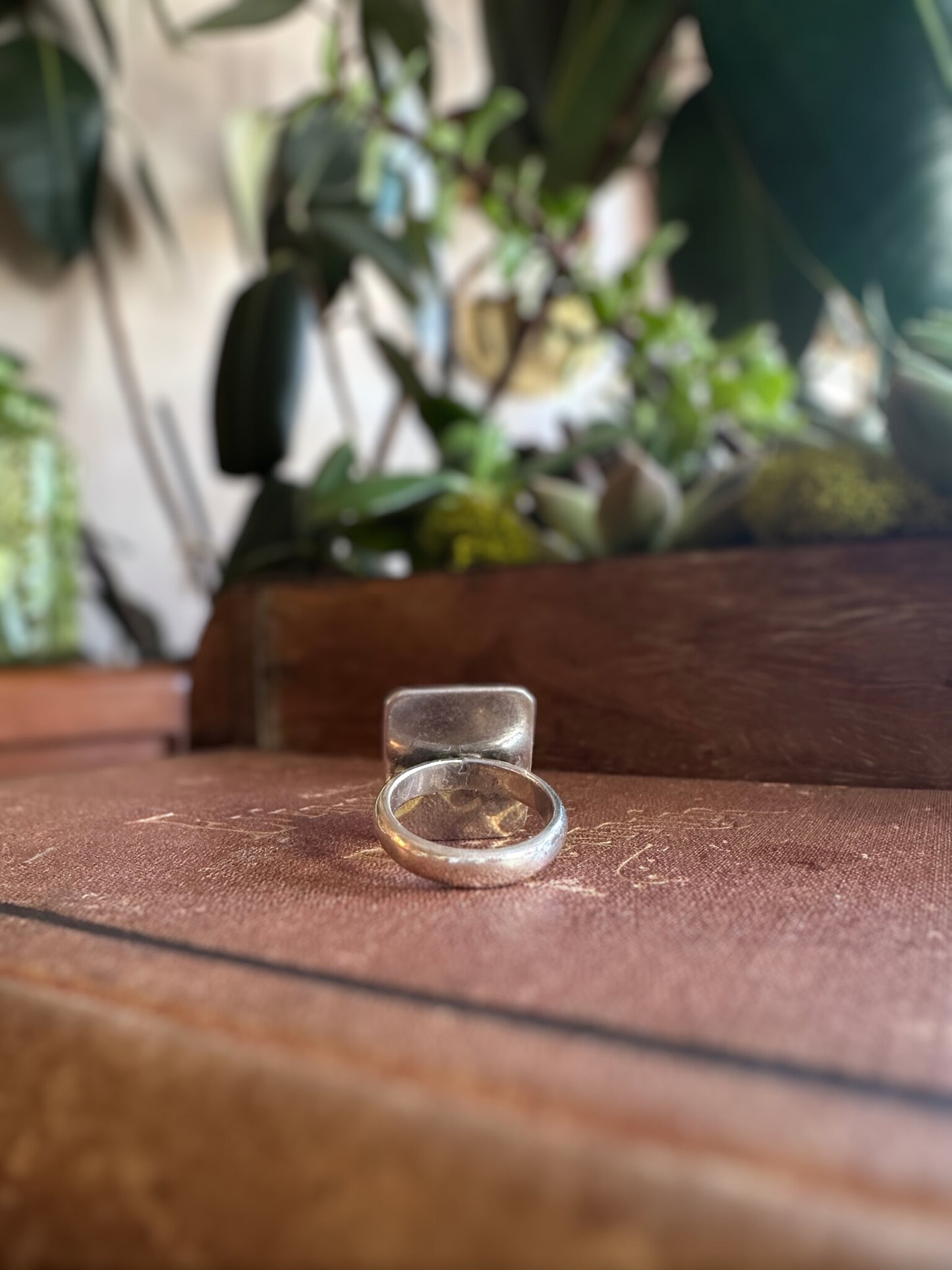 Mexican Abalone Framed Ring (Size 6)